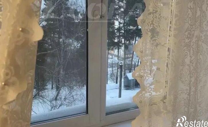 1-комн квартира микрорайон Менделеево, 1