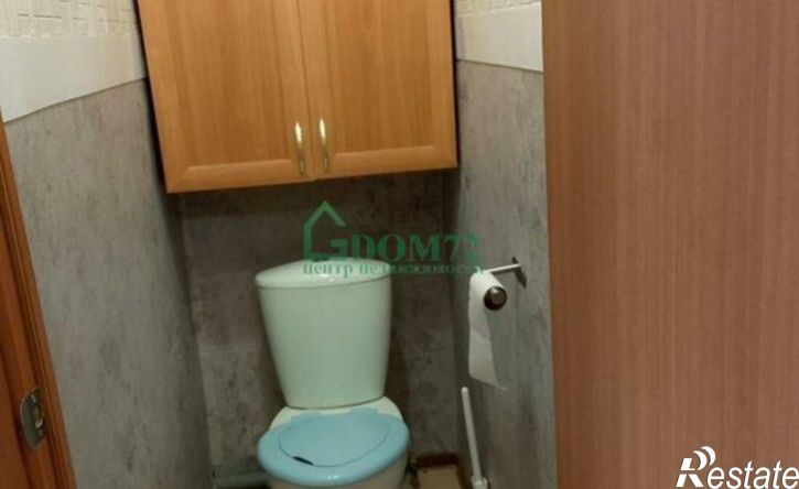2-комн квартира микрорайон Менделеево, 3