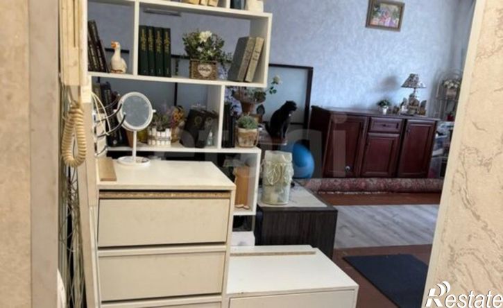 1-комн квартира микрорайон Менделеево, 10